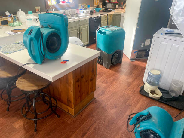 Best Ceiling water damage repair  in Kinston, NC