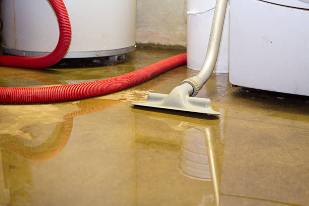 Best Water damage cleanup near me  in Kinston, NC