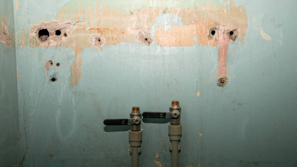 Best 24/7 water damage repair  in Kinston, NC