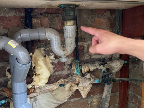 Best Water damage contractors near me  in Kinston, NC